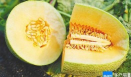 吃牛角蜜瓜视频大全集免费观看,视频大全集带你一网打尽